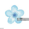 camille123620